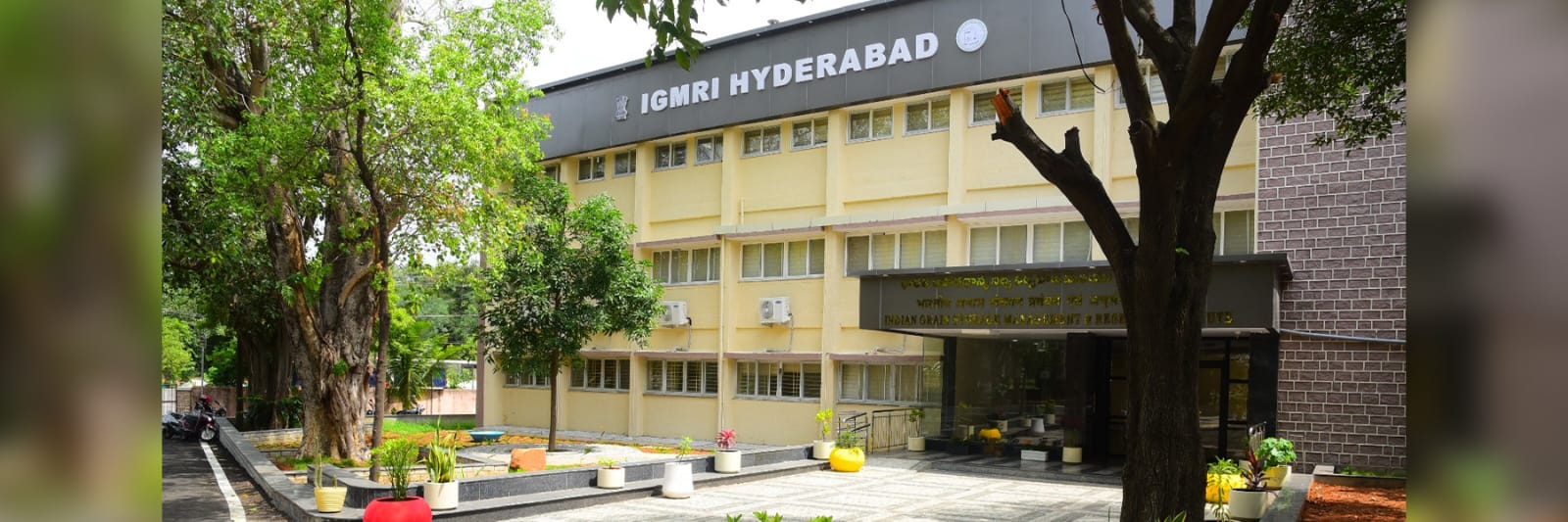 igmri banner